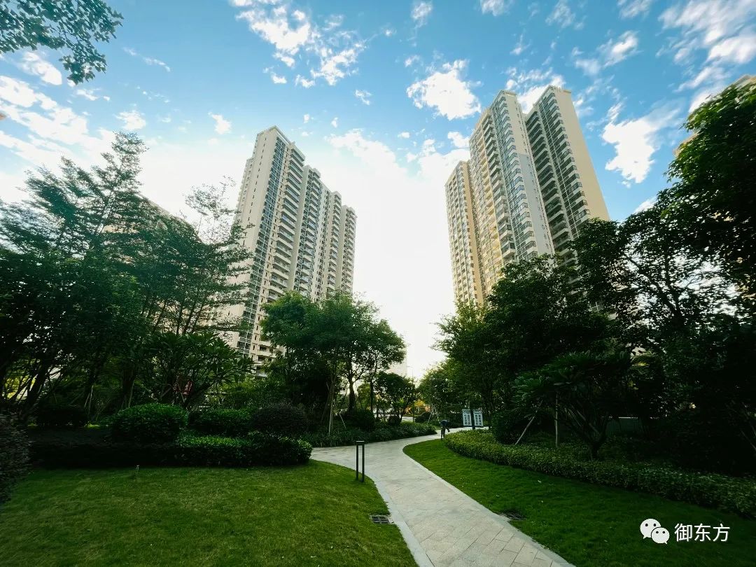 御东方(图4) 图片